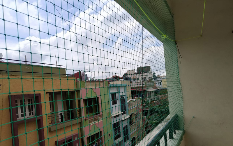 pigeons-nets-in-chennai